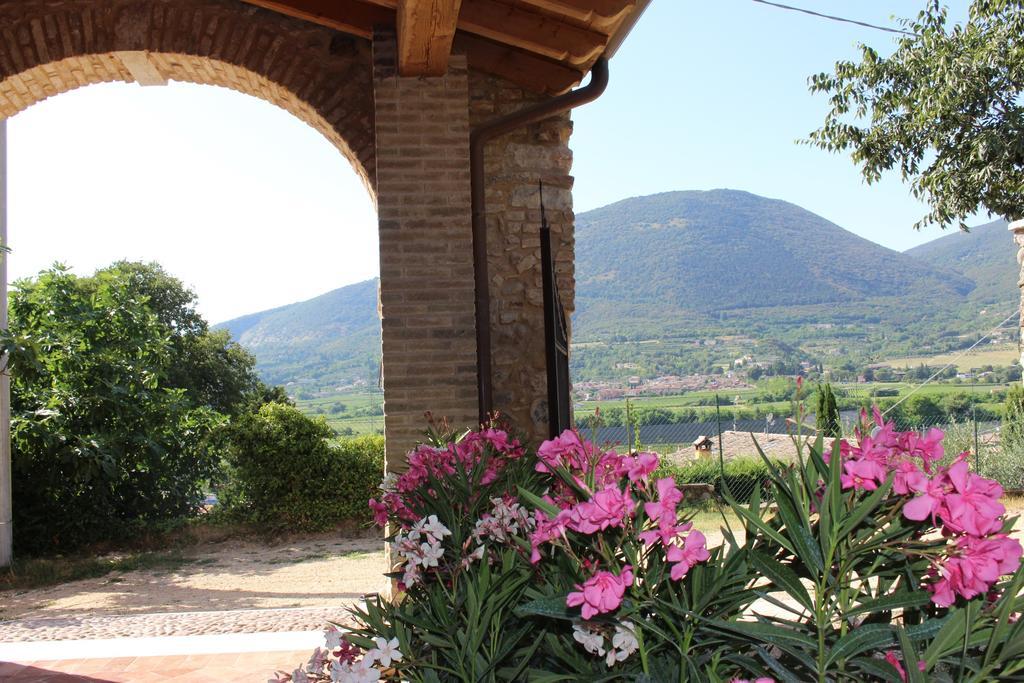 Ferienwohnung Giardino Degli Ulivi Caprino Veronese Exterior foto