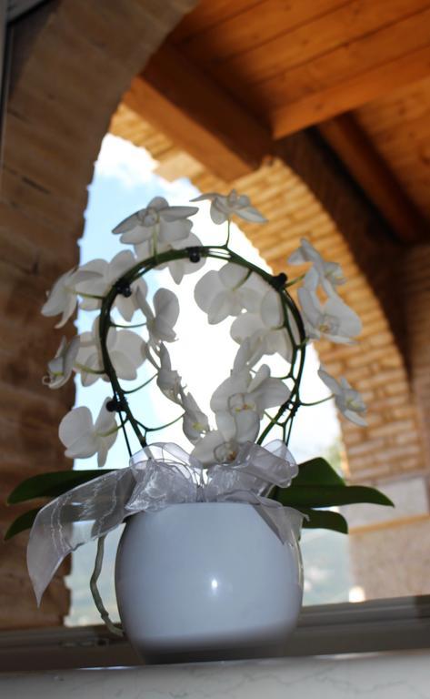 Ferienwohnung Giardino Degli Ulivi Caprino Veronese Exterior foto