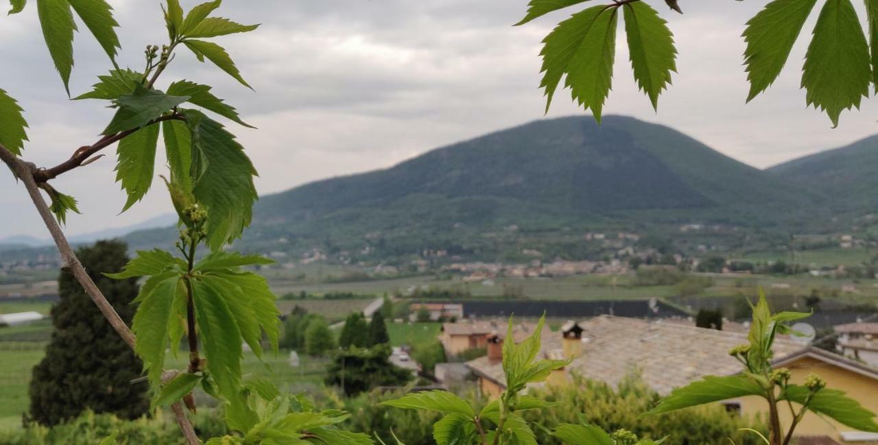 Ferienwohnung Giardino Degli Ulivi Caprino Veronese Exterior foto